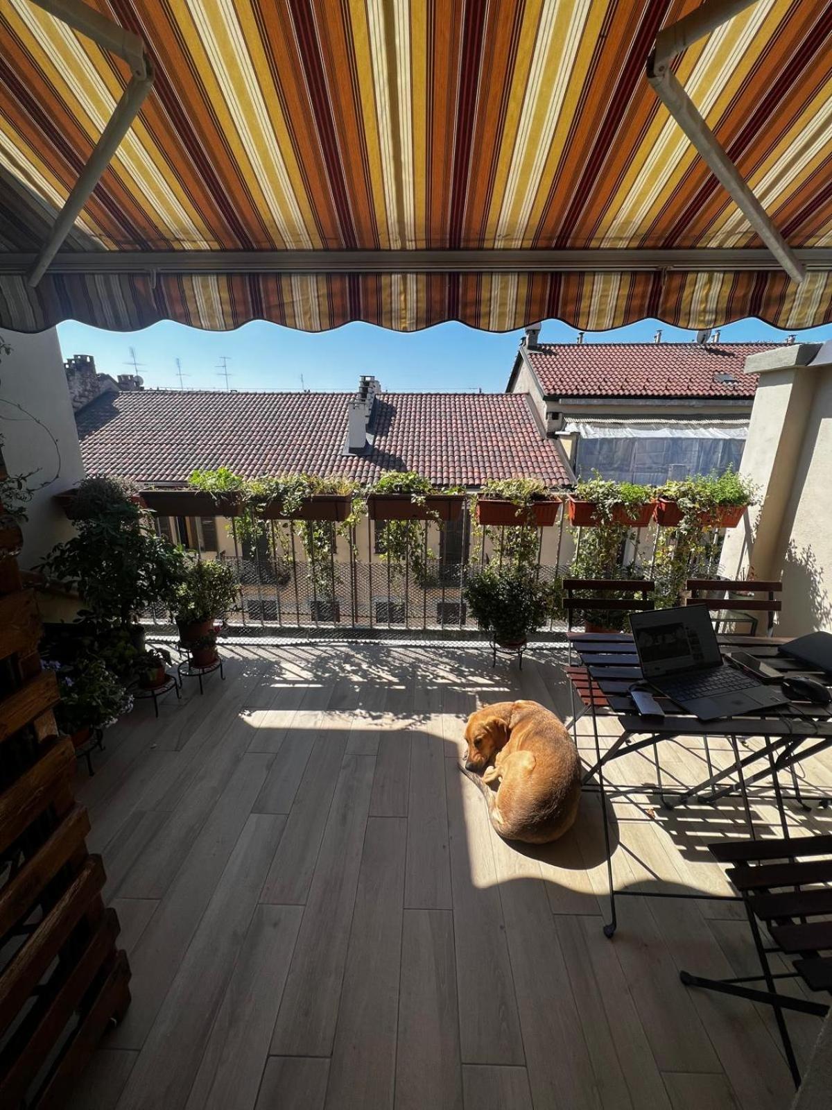 Al Politecnico - Garden House Appartement Turin